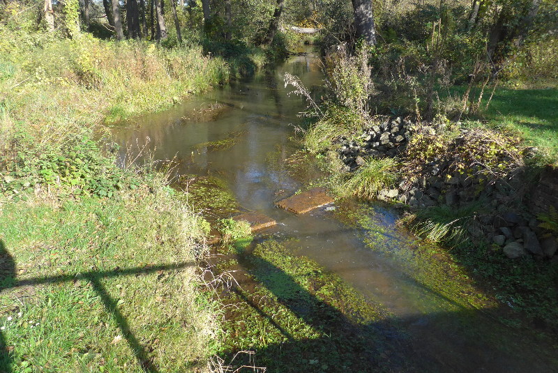 kleine Staustufen reichern das Wasser mit Sauerstoff an